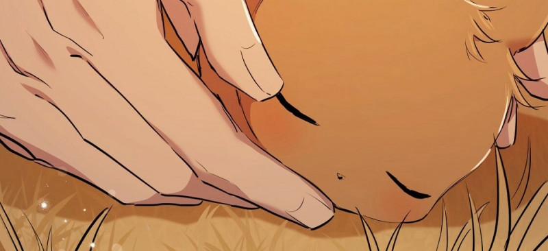 Những Chú Thỏ Của Hapypy 23.5 trang 141