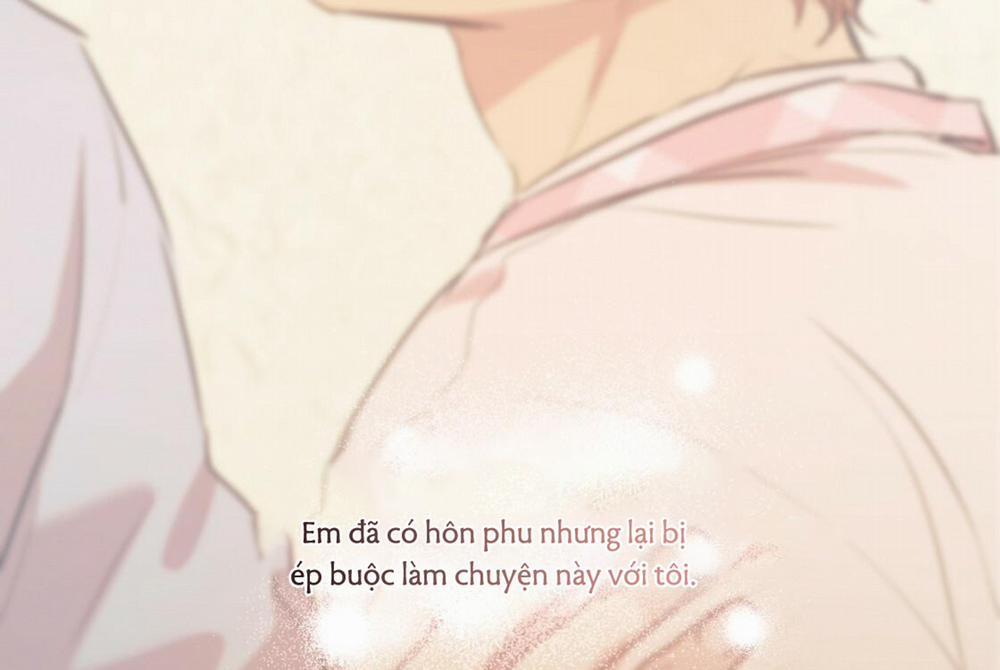 Những Chú Thỏ Của Hapypy 24 trang 122