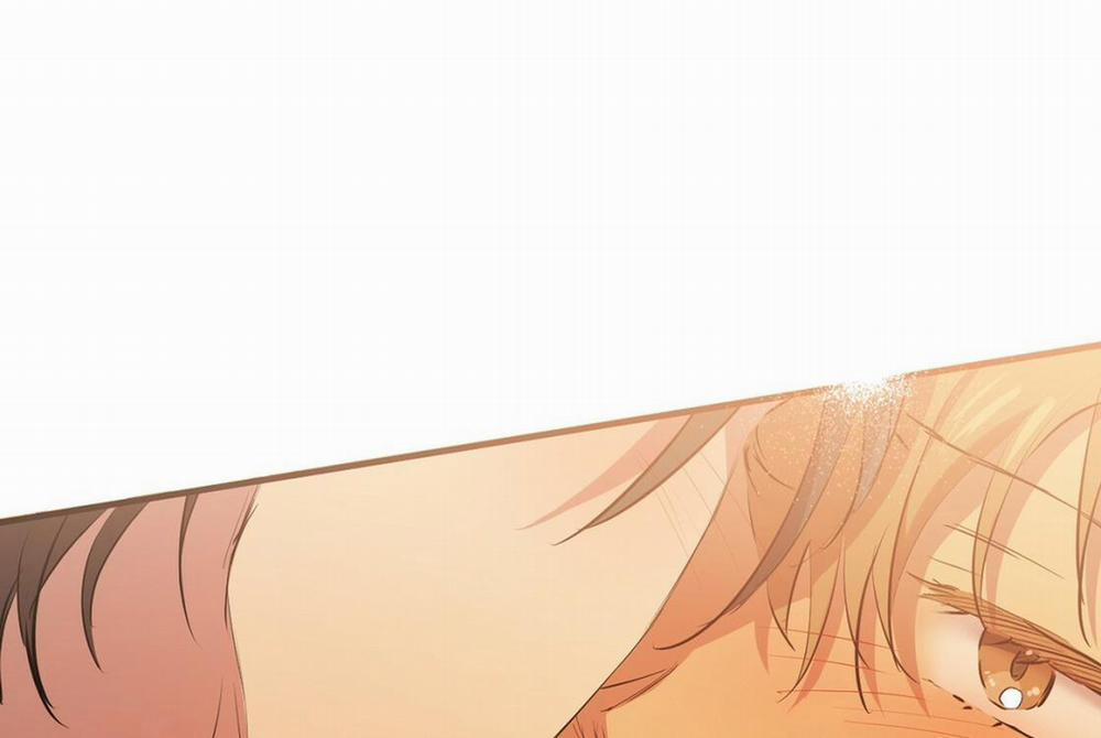 Những Chú Thỏ Của Hapypy 24 trang 161