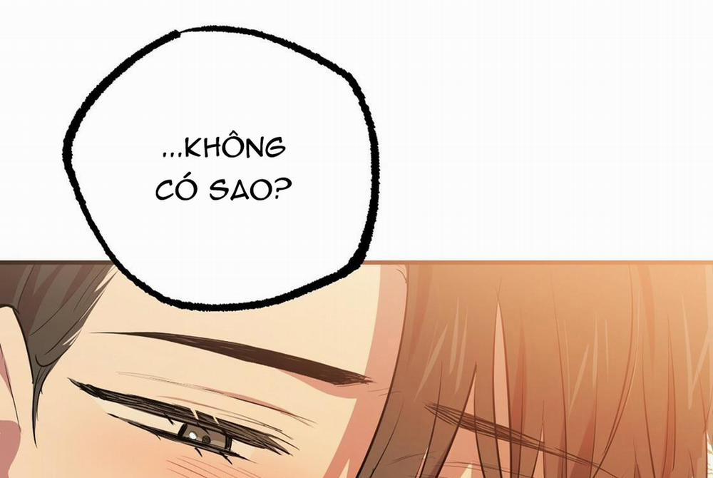 Những Chú Thỏ Của Hapypy 24 trang 174