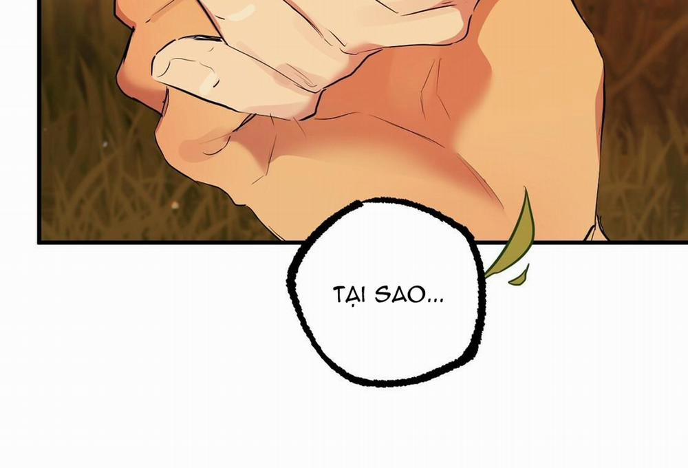 Những Chú Thỏ Của Hapypy 24 trang 181