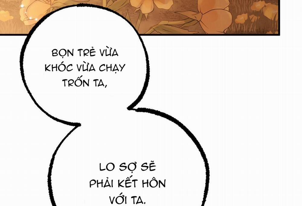 Những Chú Thỏ Của Hapypy 24 trang 198