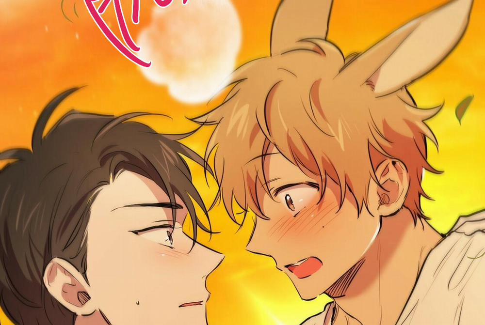 Những Chú Thỏ Của Hapypy 24 trang 20