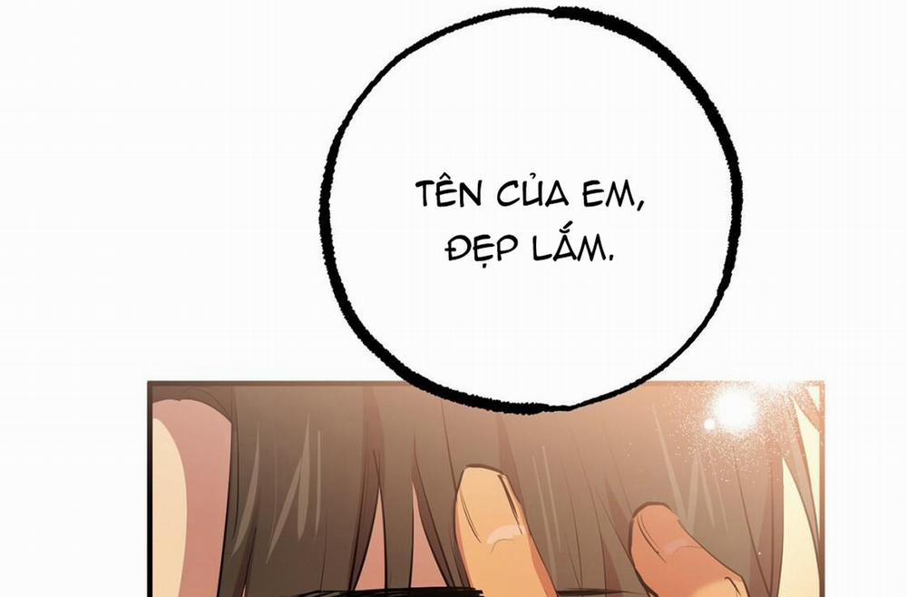 Những Chú Thỏ Của Hapypy 24 trang 215