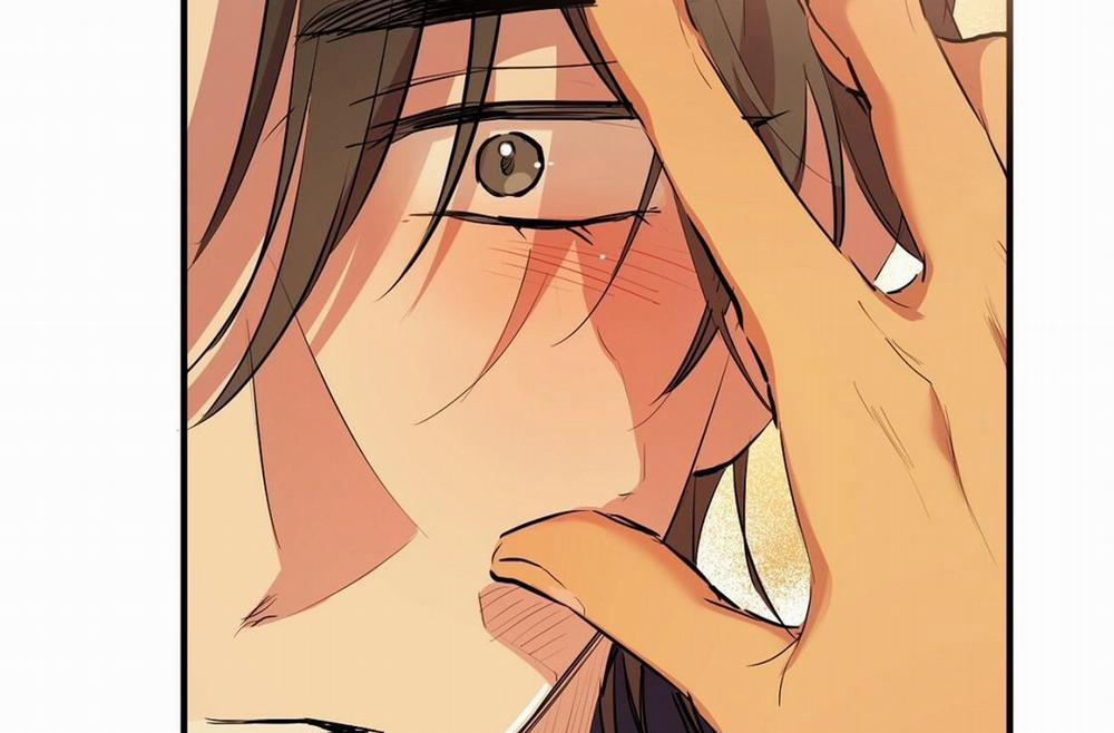 Những Chú Thỏ Của Hapypy 24 trang 216