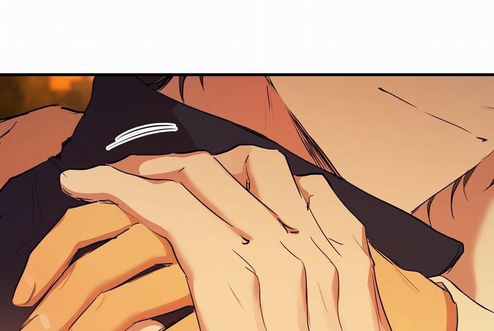 Những Chú Thỏ Của Hapypy 24 trang 267