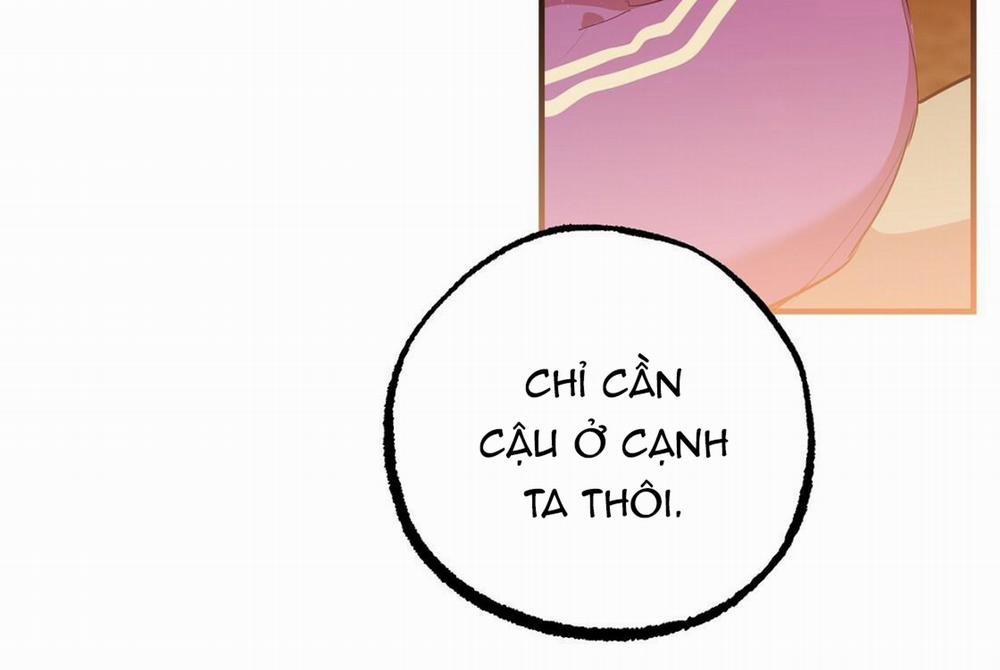 Những Chú Thỏ Của Hapypy 24 trang 273