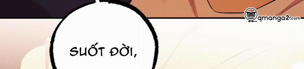 Những Chú Thỏ Của Hapypy 24 trang 277