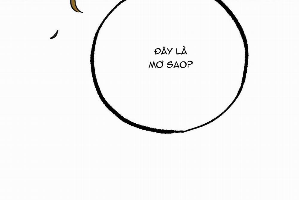 Những Chú Thỏ Của Hapypy 24 trang 29