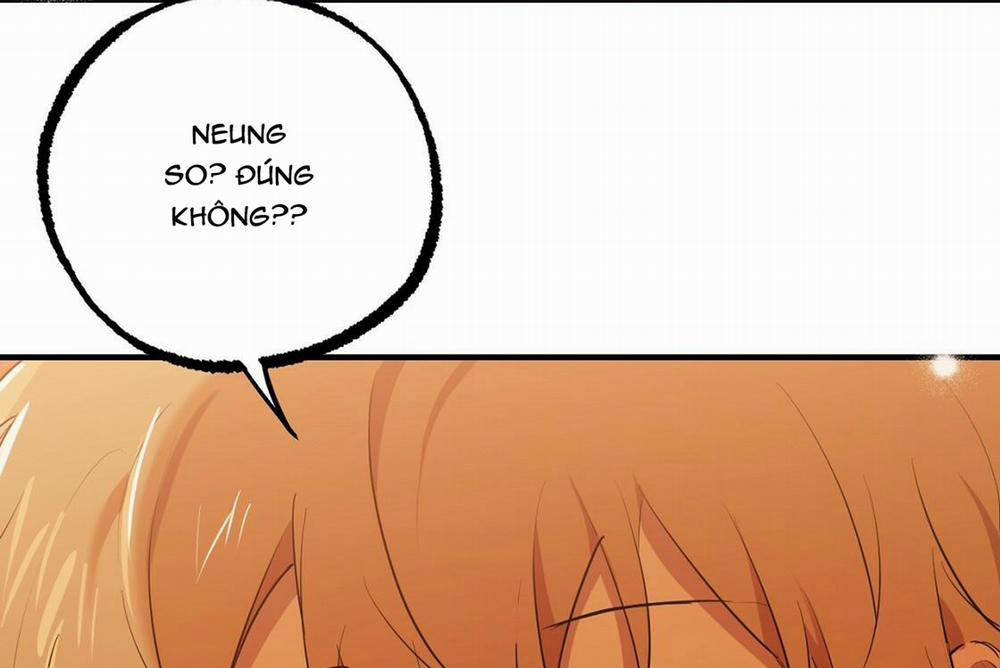 Những Chú Thỏ Của Hapypy 24 trang 33