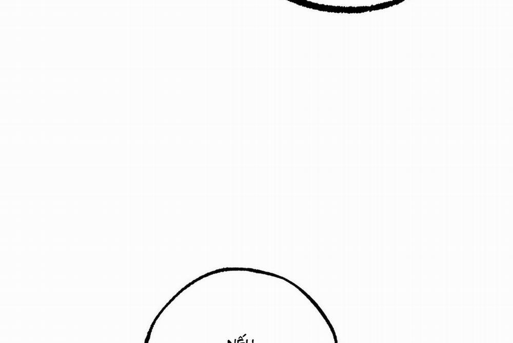 Những Chú Thỏ Của Hapypy 24 trang 84