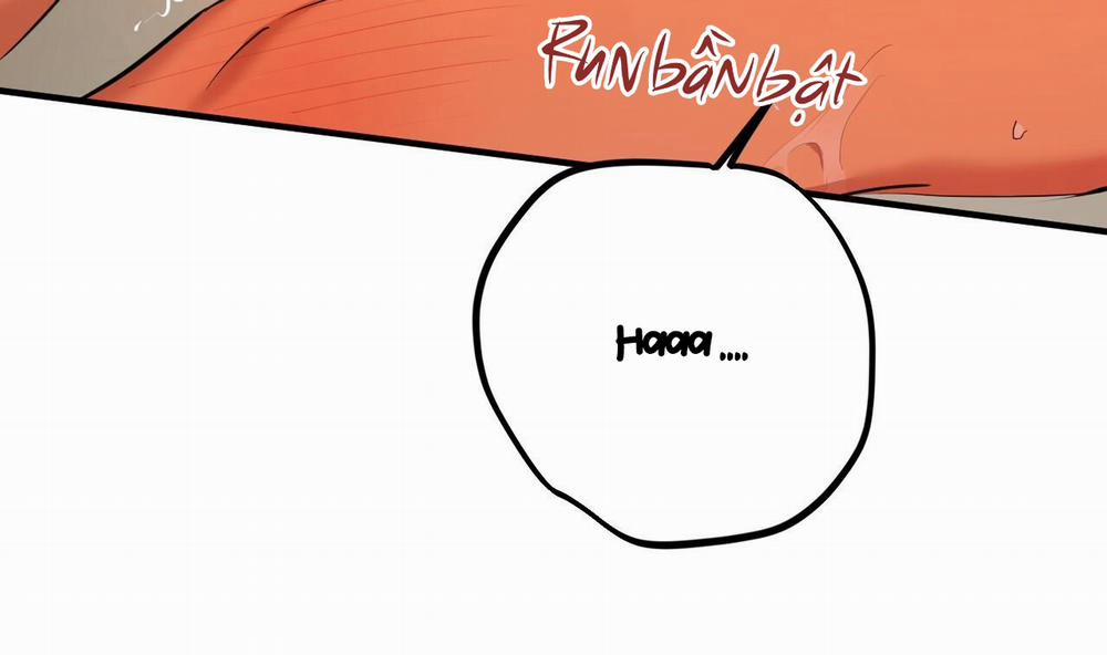 Những Chú Thỏ Của Hapypy 25 trang 129