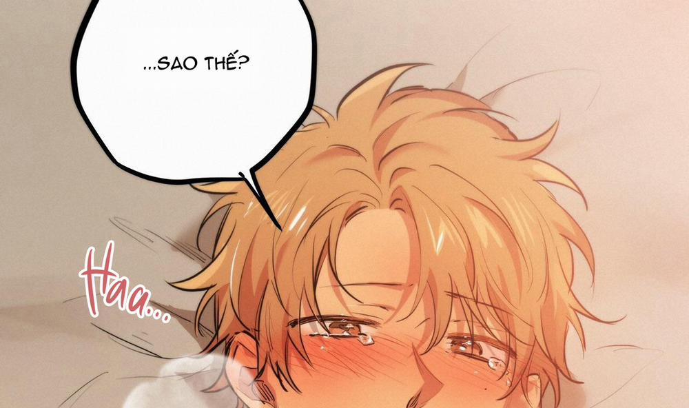 Những Chú Thỏ Của Hapypy 25 trang 133