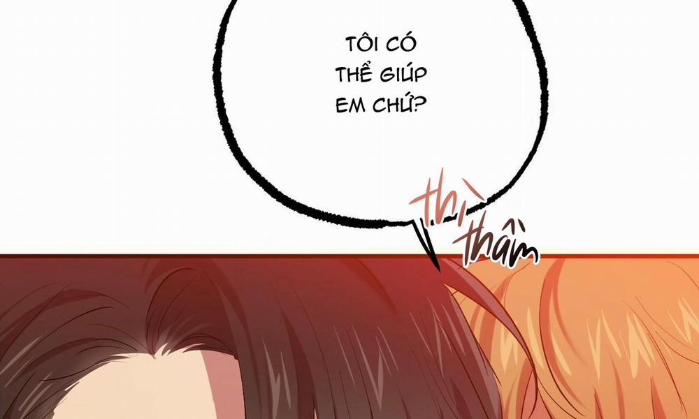 Những Chú Thỏ Của Hapypy 25 trang 14