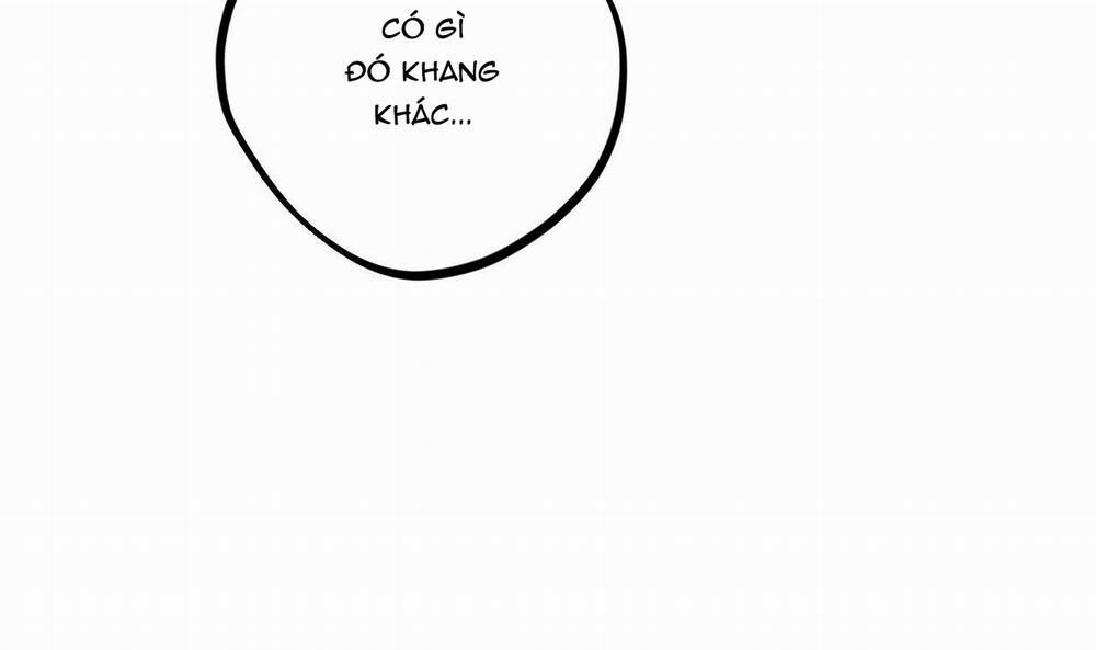 Những Chú Thỏ Của Hapypy 25 trang 140