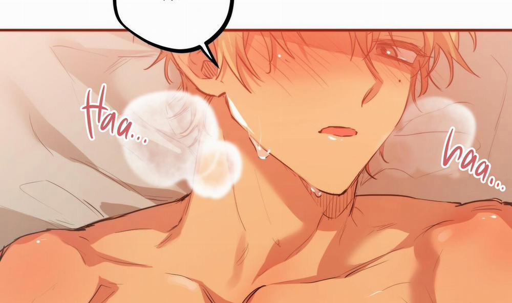 Những Chú Thỏ Của Hapypy 25 trang 144