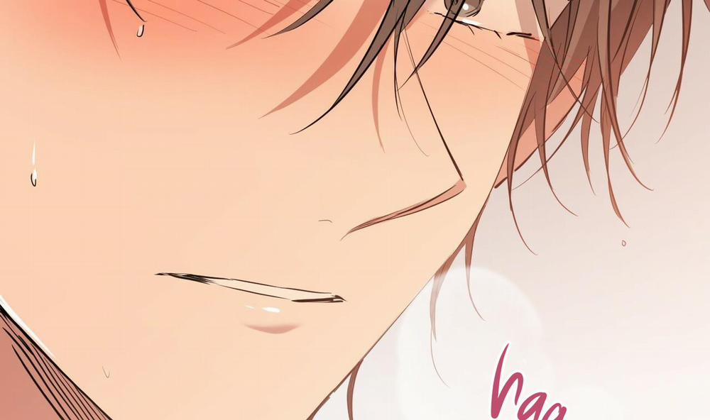 Những Chú Thỏ Của Hapypy 25 trang 149