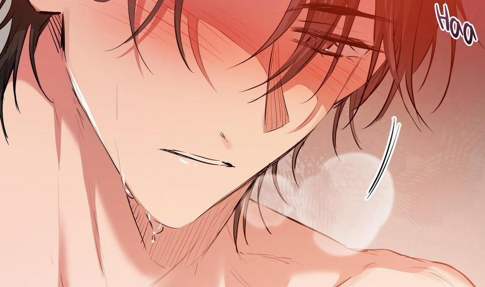 Những Chú Thỏ Của Hapypy 25 trang 151