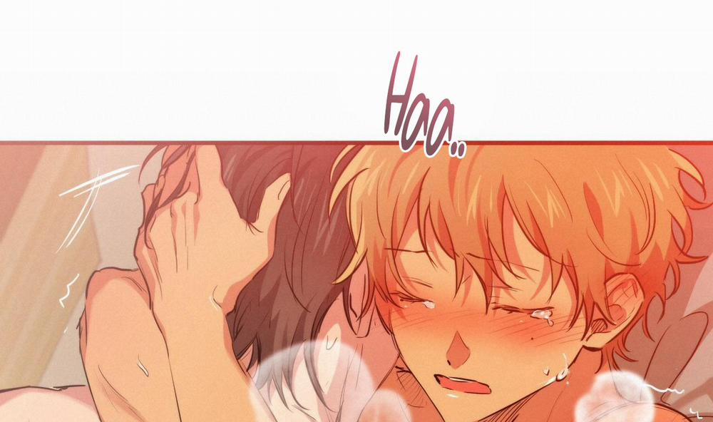 Những Chú Thỏ Của Hapypy 25 trang 166