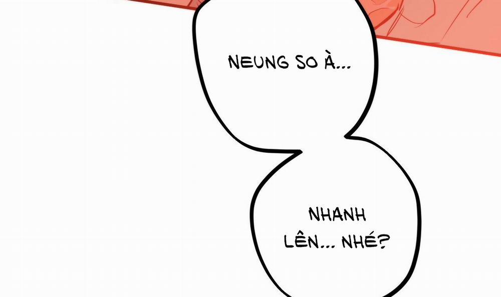 Những Chú Thỏ Của Hapypy 25 trang 169