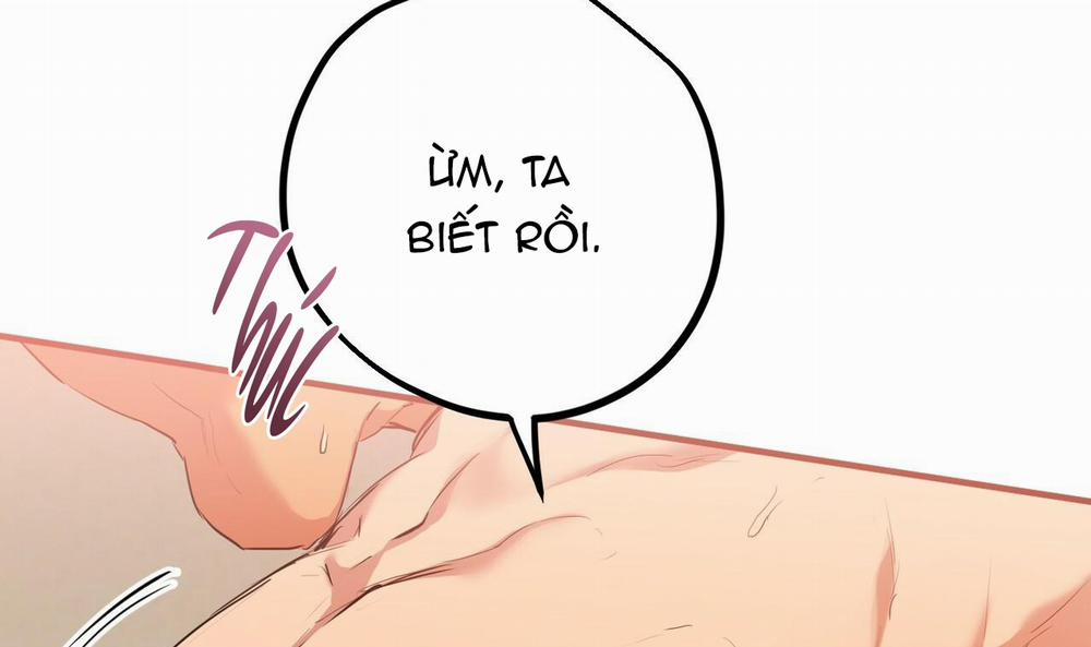 Những Chú Thỏ Của Hapypy 25 trang 171