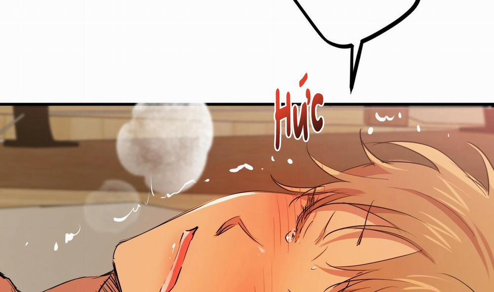 Những Chú Thỏ Của Hapypy 25 trang 174