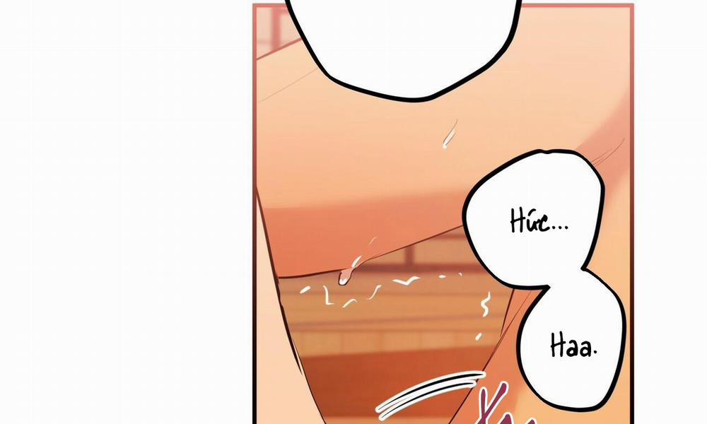 Những Chú Thỏ Của Hapypy 25 trang 187