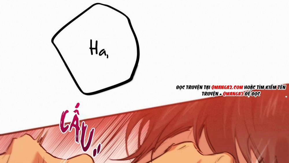 Những Chú Thỏ Của Hapypy 25 trang 234