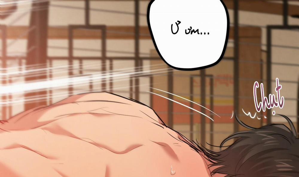 Những Chú Thỏ Của Hapypy 25 trang 254