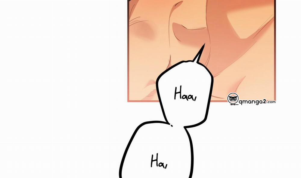 Những Chú Thỏ Của Hapypy 25 trang 259