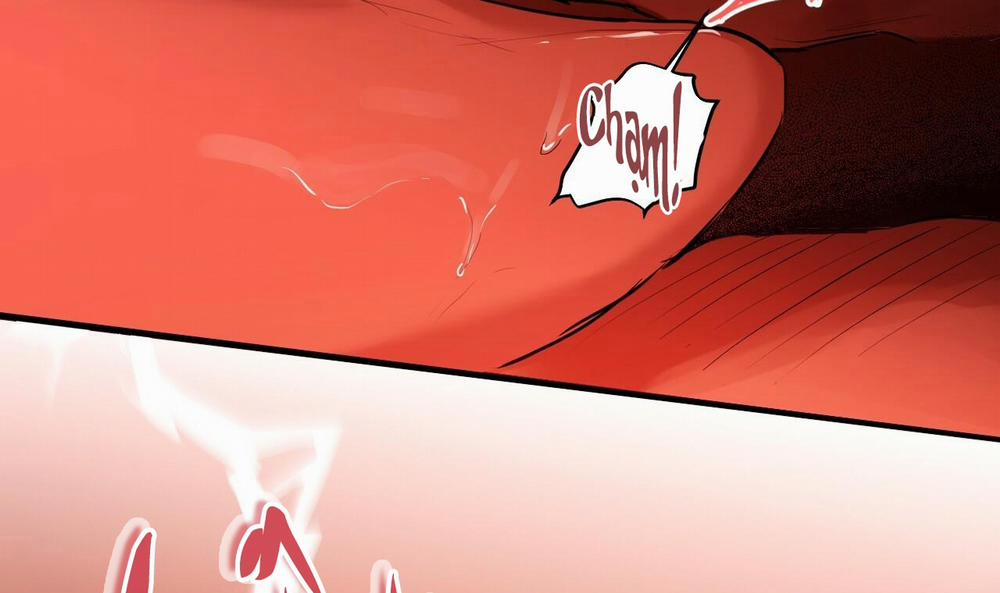 Những Chú Thỏ Của Hapypy 25 trang 263