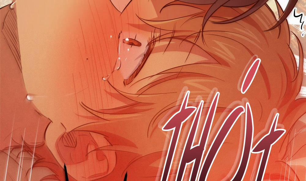 Những Chú Thỏ Của Hapypy 25 trang 266