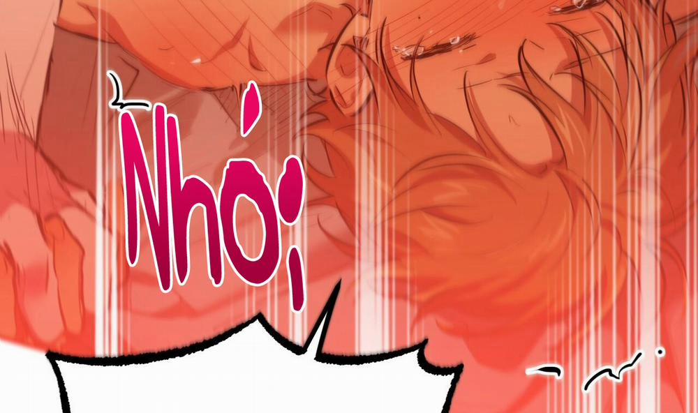 Những Chú Thỏ Của Hapypy 25 trang 272