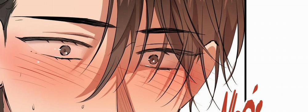 Những Chú Thỏ Của Hapypy 25 trang 281