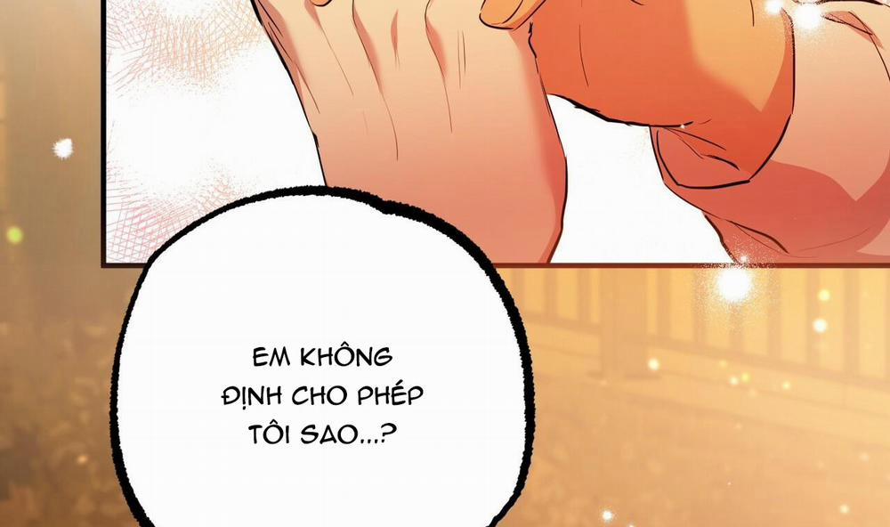 Những Chú Thỏ Của Hapypy 25 trang 29