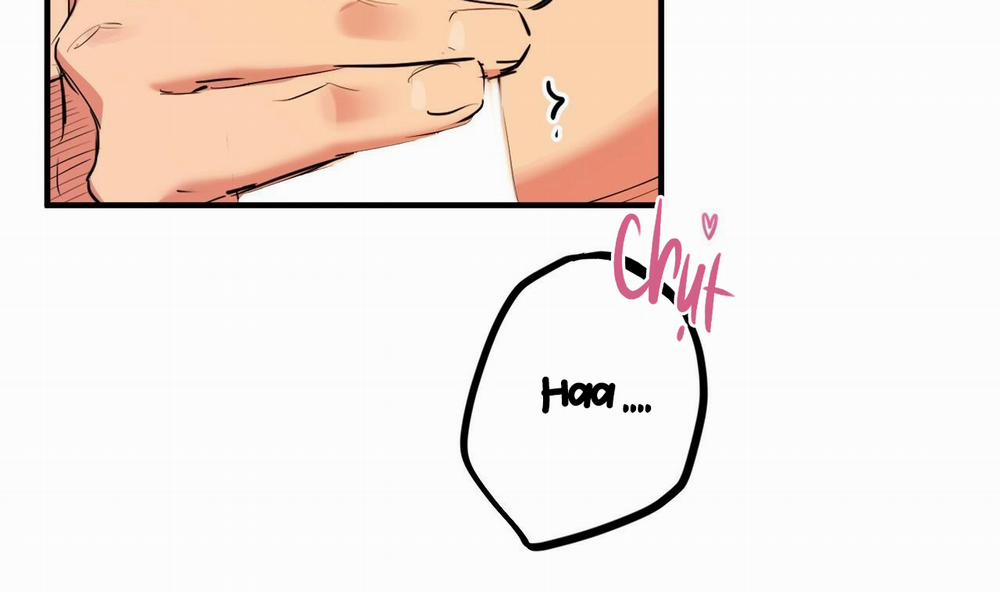 Những Chú Thỏ Của Hapypy 25 trang 56