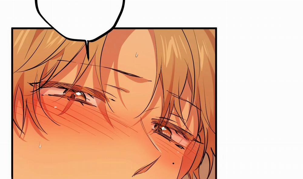 Những Chú Thỏ Của Hapypy 25 trang 75