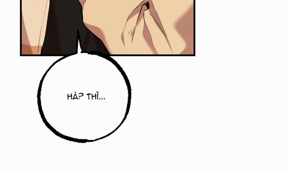 Những Chú Thỏ Của Hapypy 25 trang 8