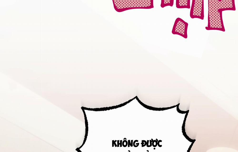 Những Chú Thỏ Của Hapypy 26 trang 108