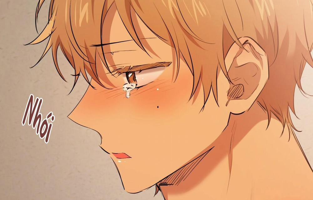 Những Chú Thỏ Của Hapypy 26 trang 129