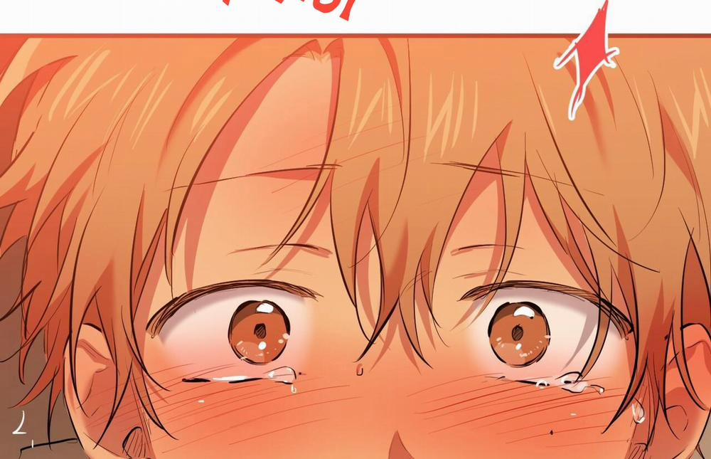 Những Chú Thỏ Của Hapypy 26 trang 13