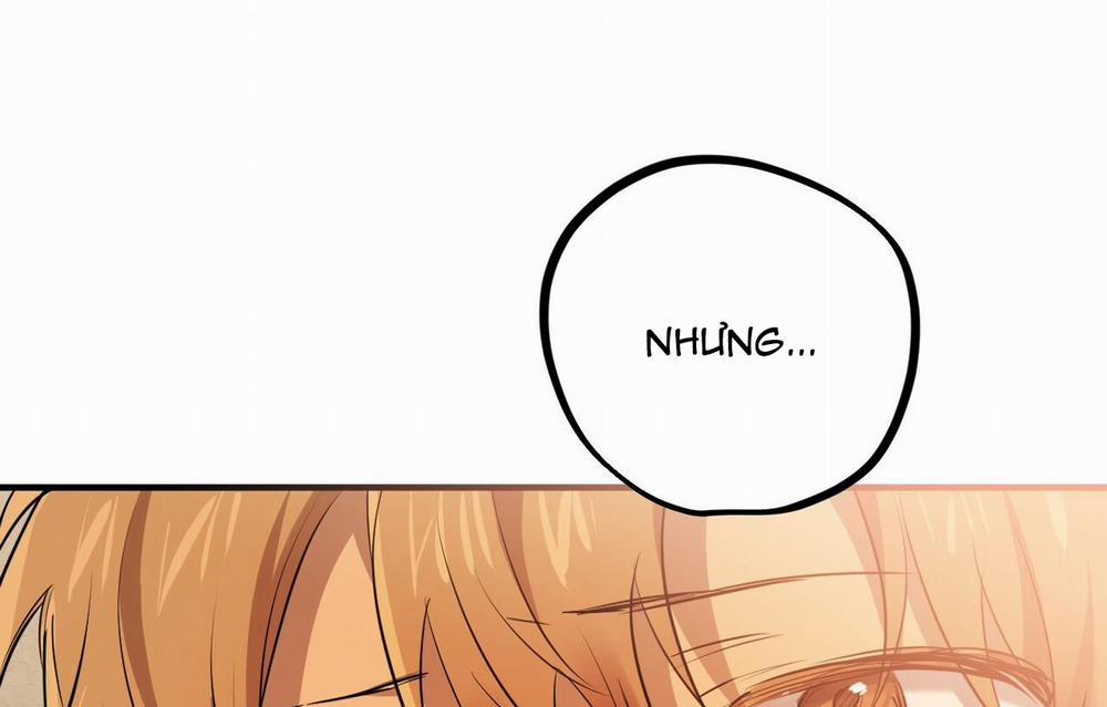 Những Chú Thỏ Của Hapypy 26 trang 140