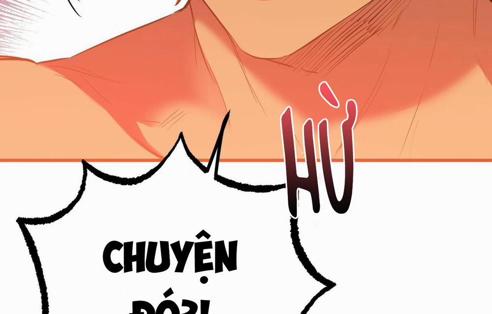 Những Chú Thỏ Của Hapypy 26 trang 166