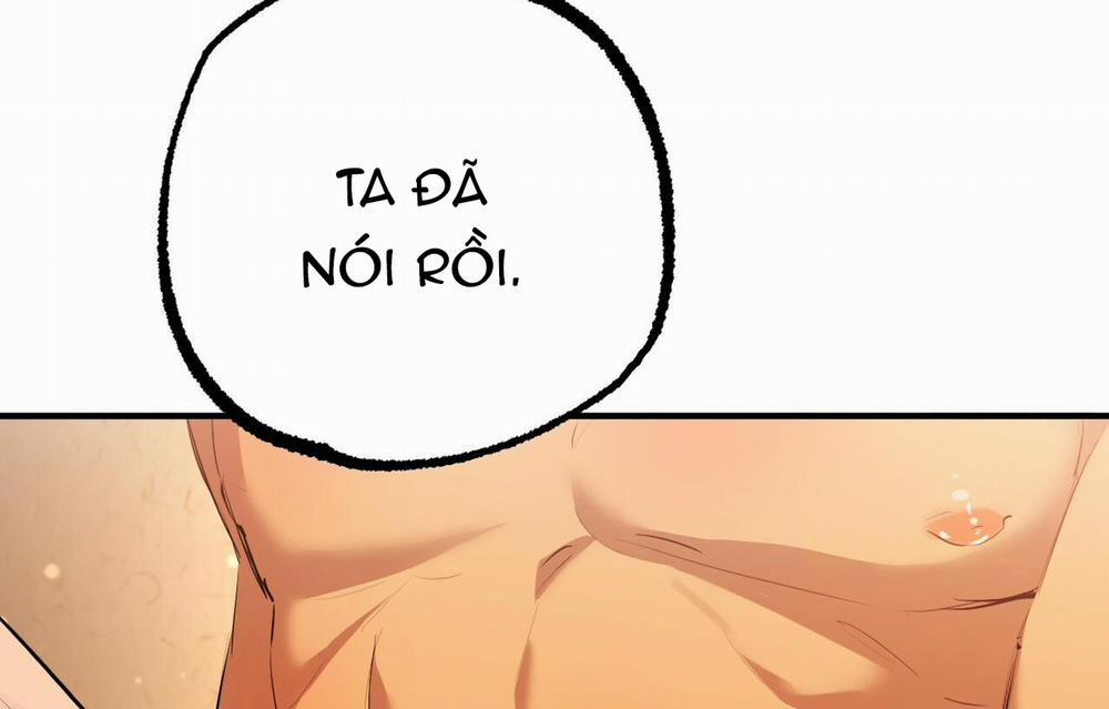 Những Chú Thỏ Của Hapypy 26 trang 197