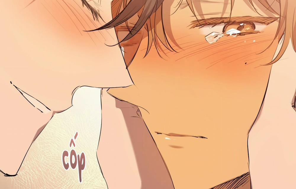 Những Chú Thỏ Của Hapypy 26 trang 208