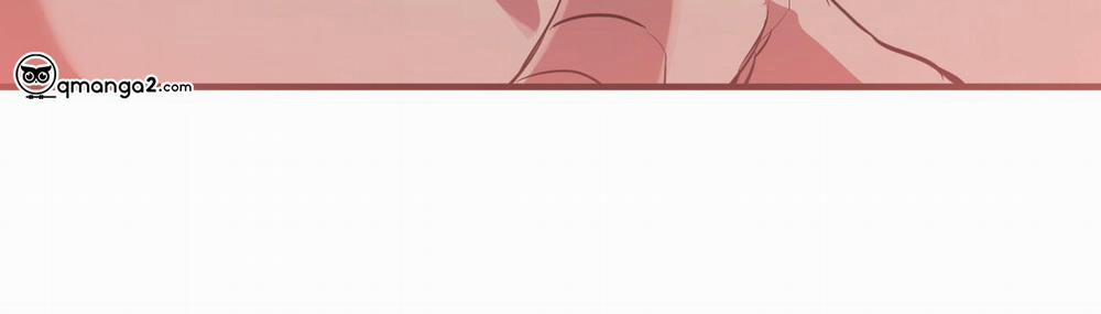 Những Chú Thỏ Của Hapypy 26 trang 266