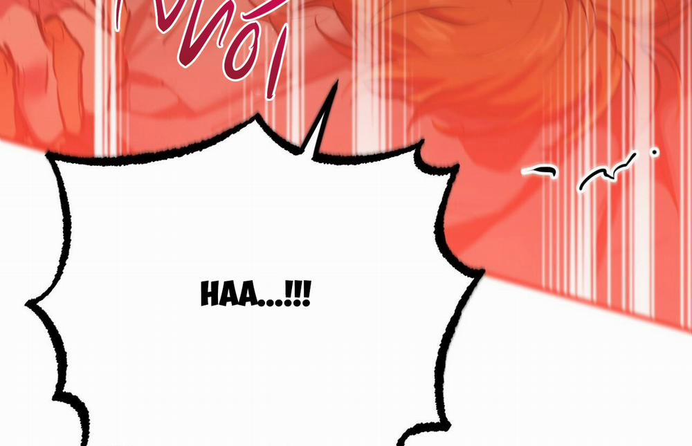 Những Chú Thỏ Của Hapypy 26 trang 5