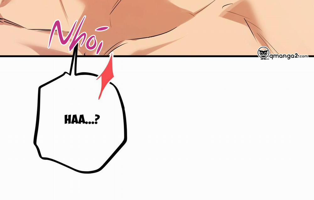 Những Chú Thỏ Của Hapypy 26 trang 53