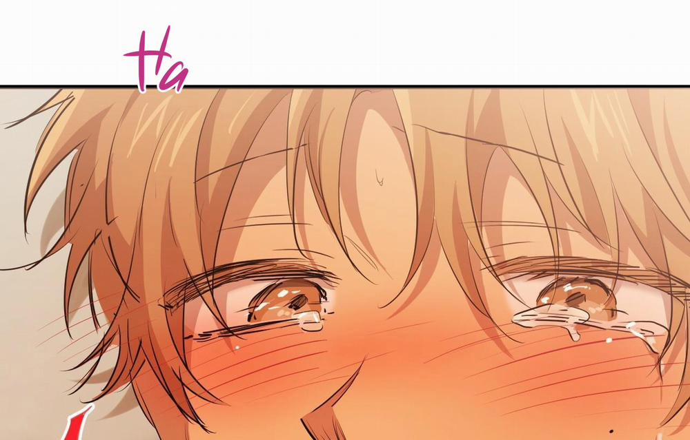 Những Chú Thỏ Của Hapypy 26 trang 54