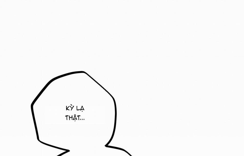 Những Chú Thỏ Của Hapypy 26 trang 59